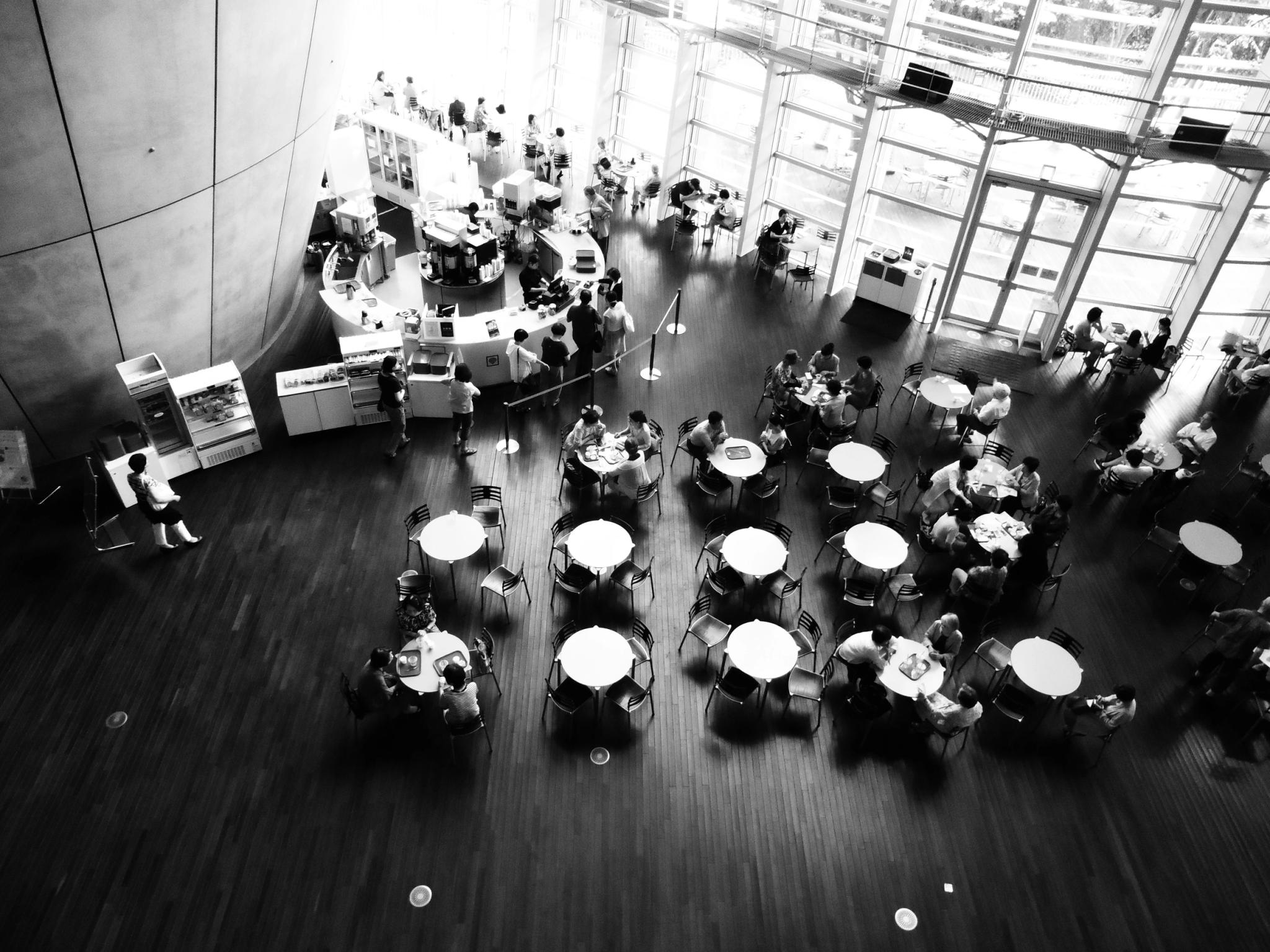Organisation de conventions pour entreprises en Corse